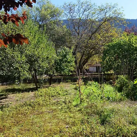 With Garden And Bbq * Витина