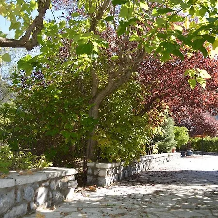With Garden And Bbq