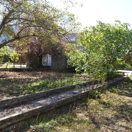 With Garden And Bbq